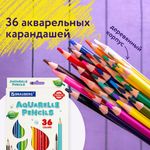 Карандаши цветные акварельные BRAUBERG PREMIUM AQUARELLE, 36 цветов, грифель мягкий 4 мм, 181674