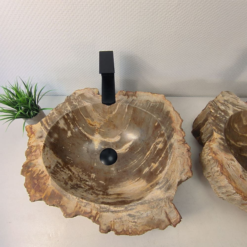 Раковина из окаменелого дерева ПАРА! OD-66073 52*45*15 из натурального камня