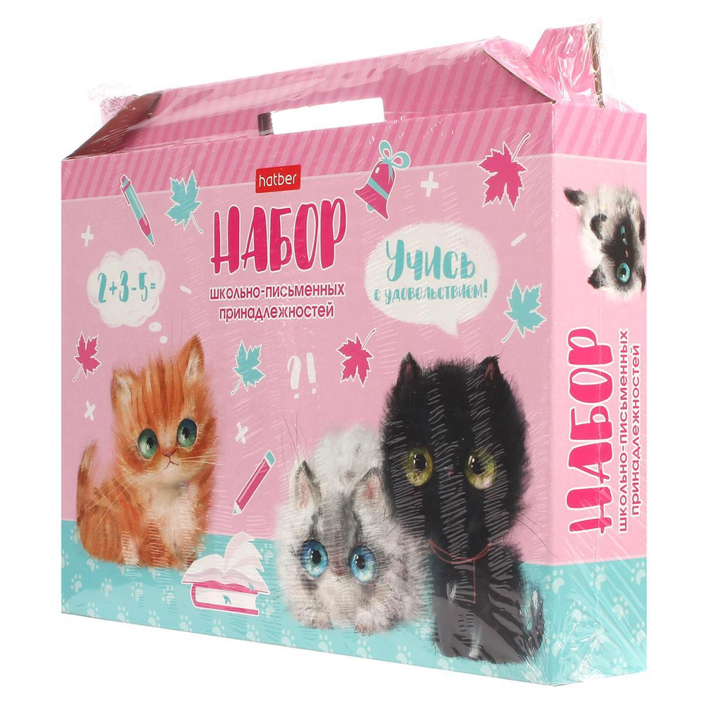 Набор школьно-письменных принадл. "Учись с удовольствием! Кошарики" 27 предм. (Хатбер)