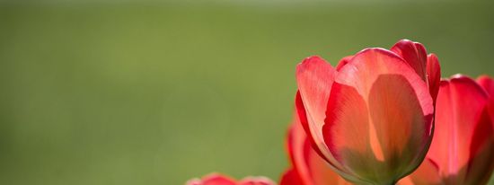 График работы офиса на майские праздники 2021