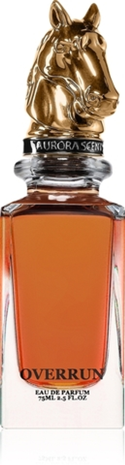 Aurora Overrun парфюмированная вода для мужчин