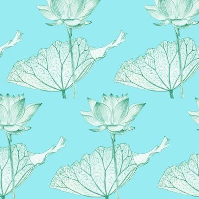 Лотос. Lotus