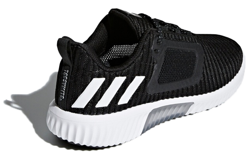 Кроссовки Adidas Climacool 2.0 (Женская размерная сетка)