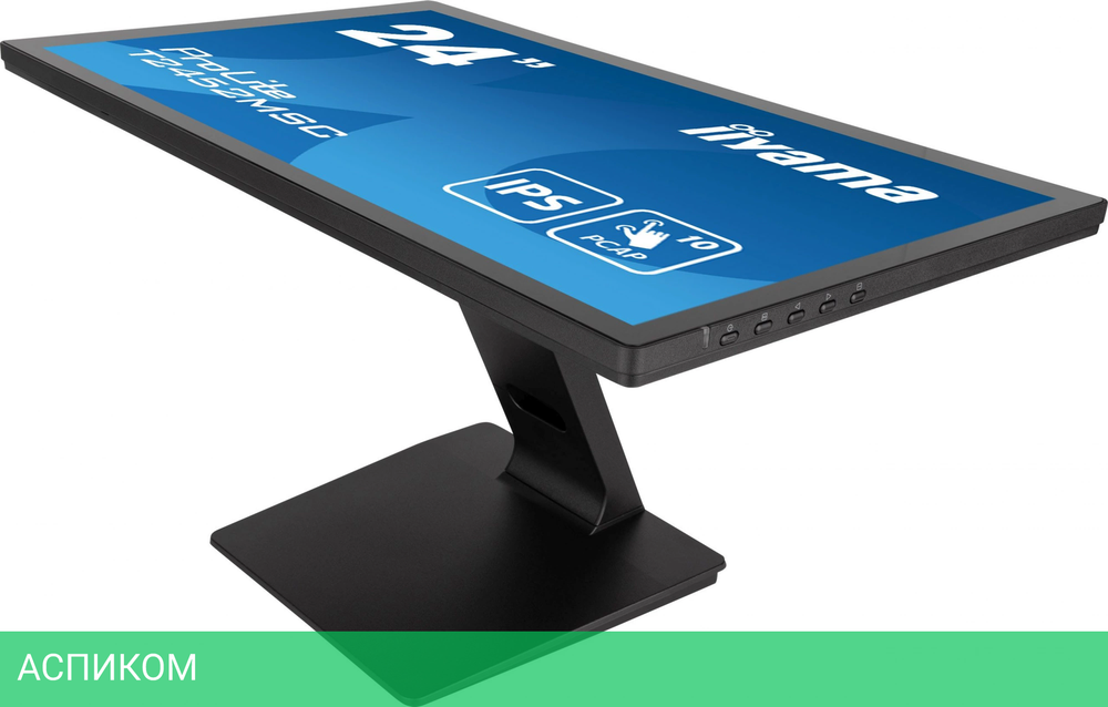 Монитор Iiyama ProLite T2452MSC-B1 черный