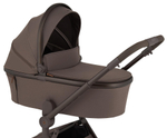 Детская коляска Anex Flo 2 в 1 Browny