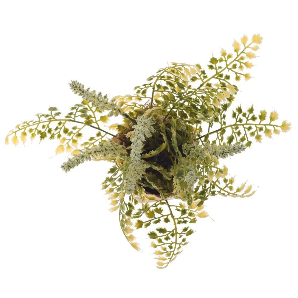 GAEM Цветочная композиция, L15 W15 H24 см