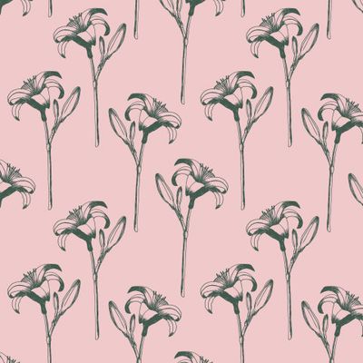 Лилия на пастельно-розовом фоне.