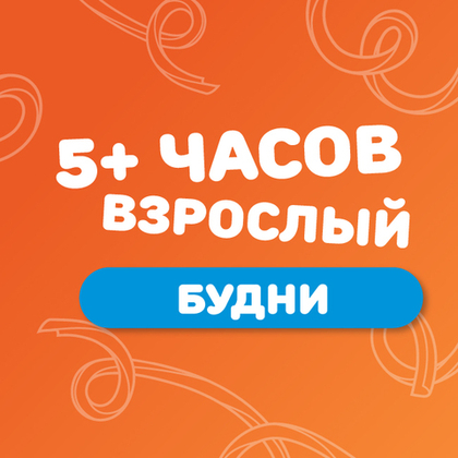 Взрослый билет на тариф "5+ часов" (будние дни)