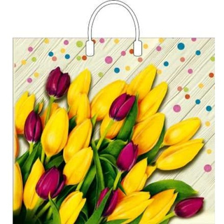 Пакет ПВД с пласт.ручкой 38*35/90 мкм Ля Фам