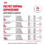 ROYAL CANIN Mini Puppy Корм сухой для щенков мелких пород в возрасте 2-10 месяцев, 800 г