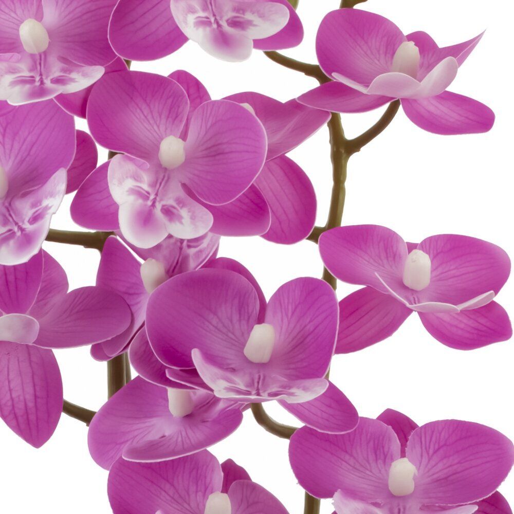 GAEM Цветочная композиция "Орхидея", L11 W11,5 H36,5 см