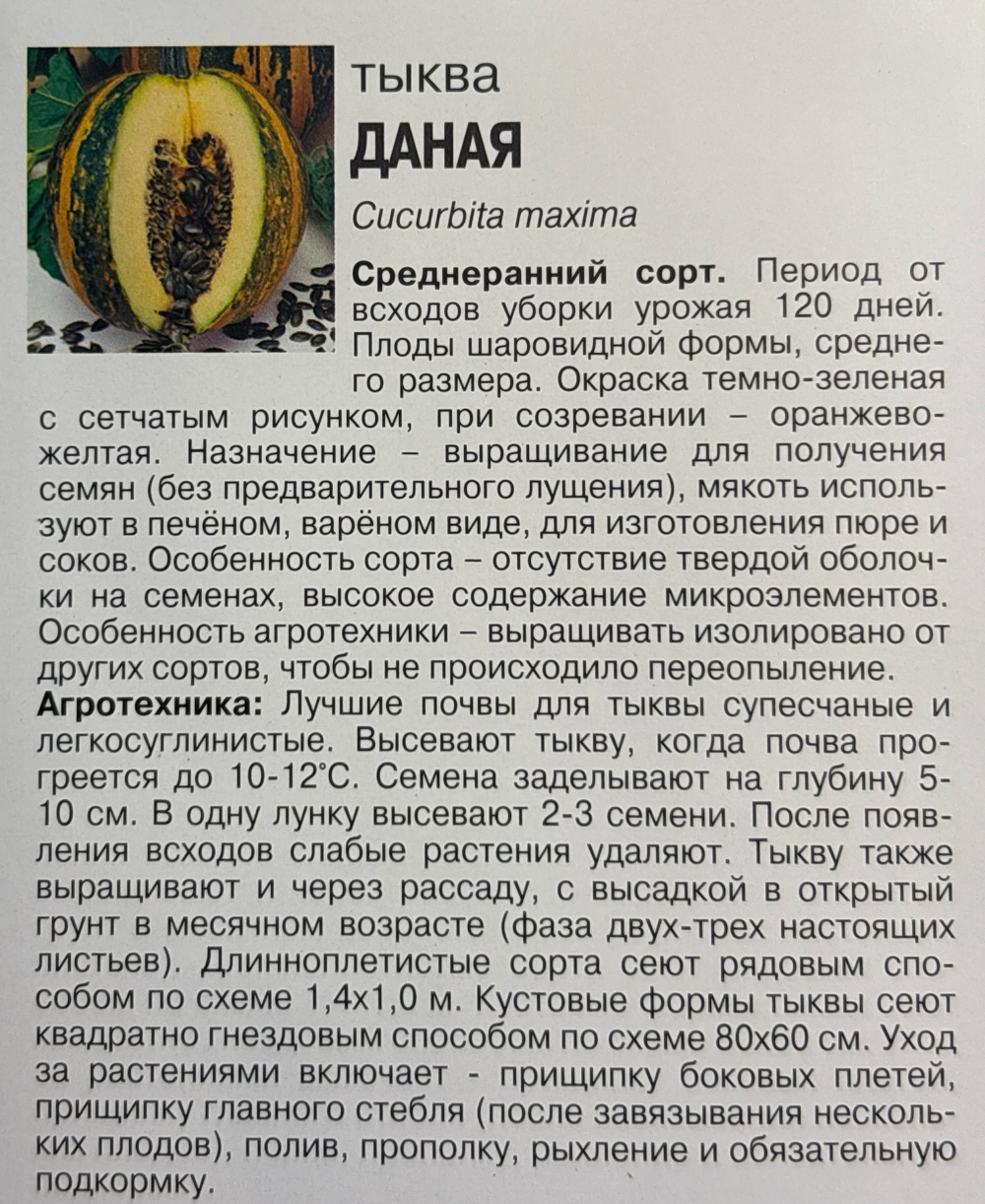 Тыква Даная, 1г., Урожай Удачи СМТК-19