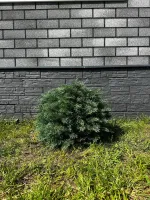 Туя-Шар искусственная (Литая хвоя) 40 см \ 70 см