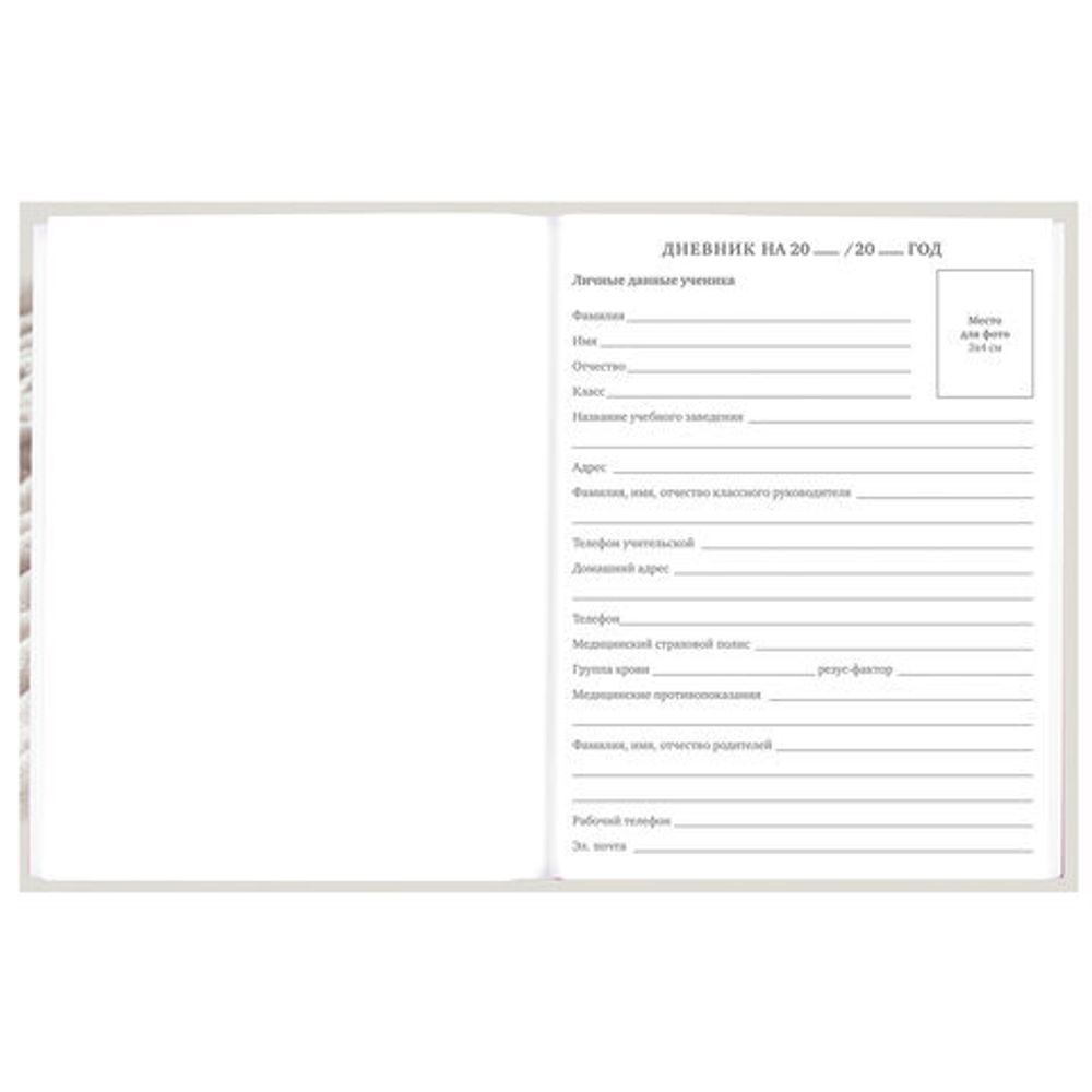 Дневник 5-11 класс 48 л., твердый, BRAUBERG, глянцевая ламинация, с подсказом, "Котик", 107188