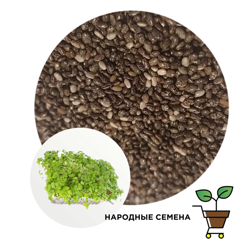 Чиа чёрная семена