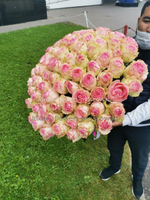 51 Роза Эквадор