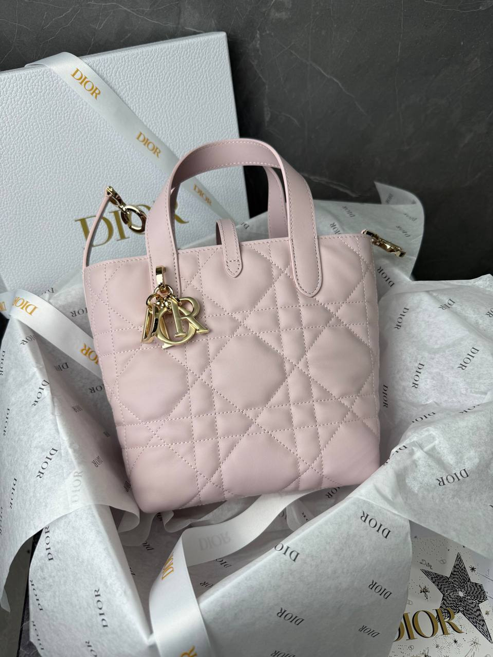 Сумка Christian Dior