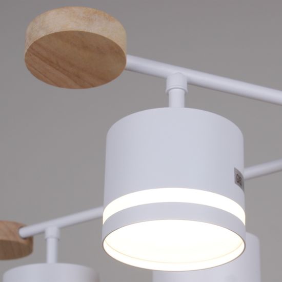 78730-0.3-06 GX53 WH+WOOD светильник потолочный