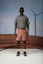 Шорты Nothomme Blue Monte Pressed-Seam Casual Hiking Shorts "Wax Apple Pink"