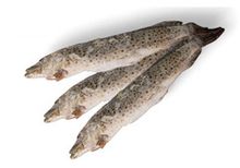 Щука замороженная непотрошеная~2.5кг