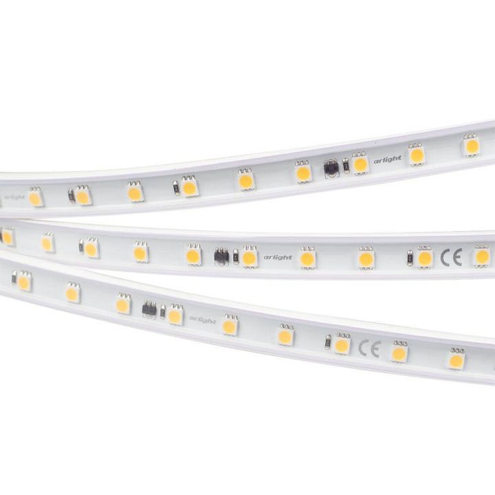 Светодиодная лента Arlight 8W/m 54LED/m 5060SMD холодный белый 50M 027055