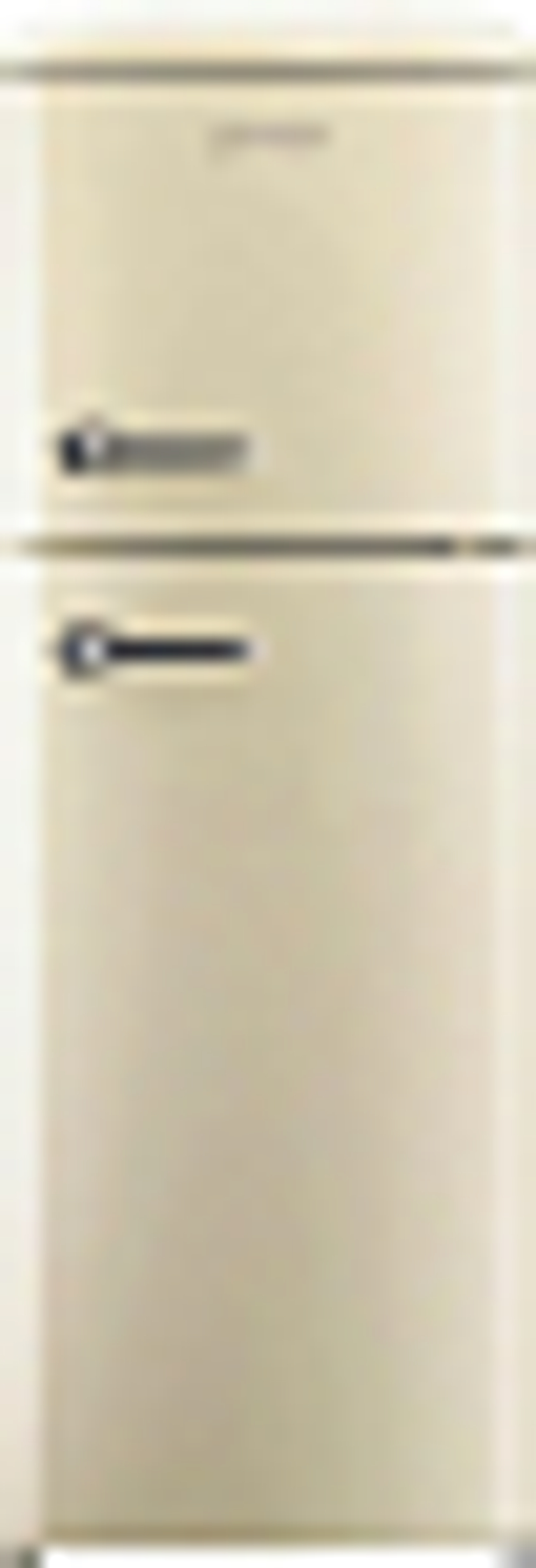 Отдельностоящий двухкамерный холодильник Gorenje RF 60309 OC