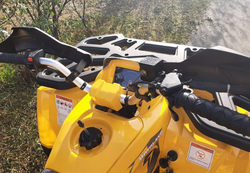 Квадроцикл MOTOLAND (МОТОЛЕНД) 200 WILD TRACK X PRO-SPORT (баланс.вал)