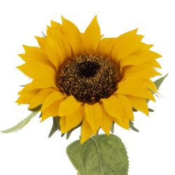 GAEM Цветок искусственный "Подсолнух" (Real Touch), L15 W15 H65 см