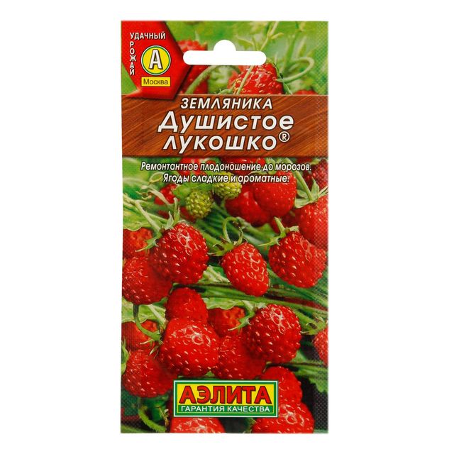 земляника