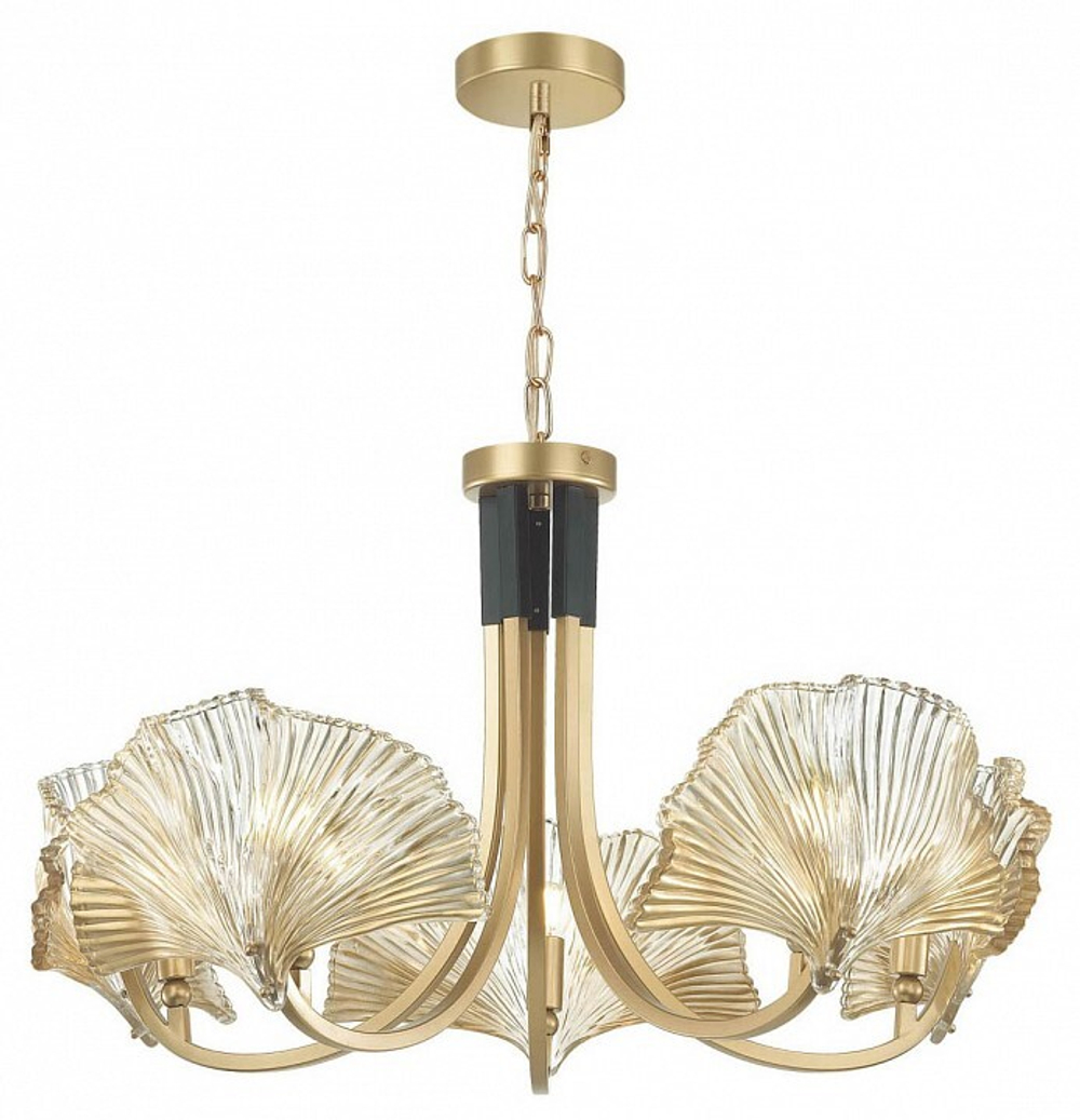Накладная люстра Odeon Light 4870/5