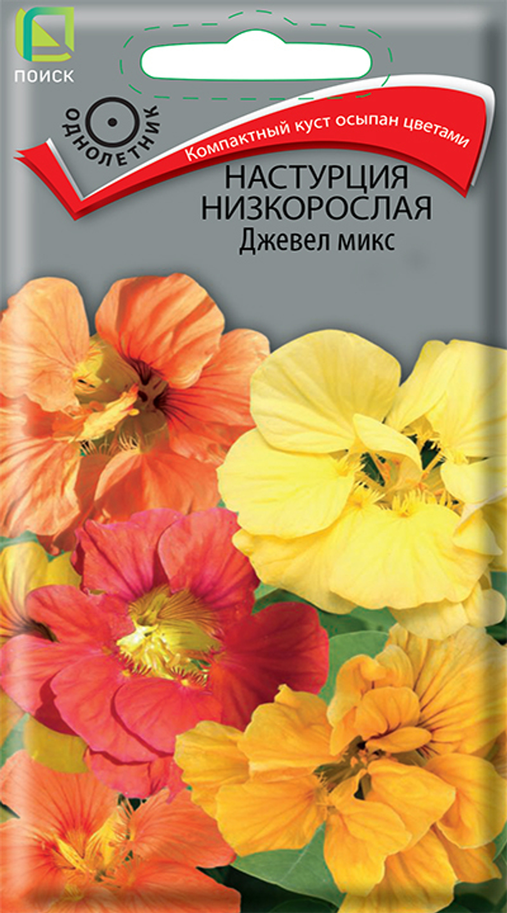 Настурция низкорослая Джевел Микс