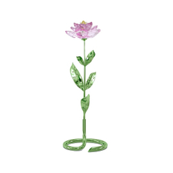 FLORERE:PEONY