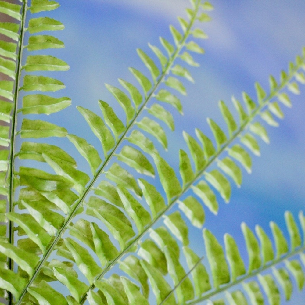 Набор для новогоднего проекта  "Когами Моти"