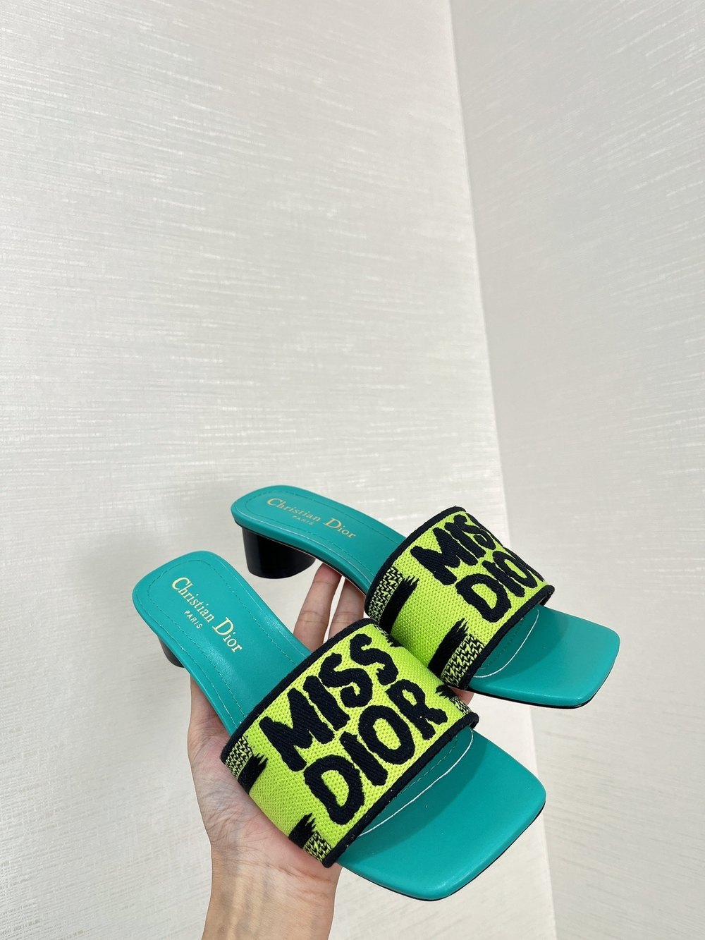 Christian Dior Dway Slide (11 colors)
