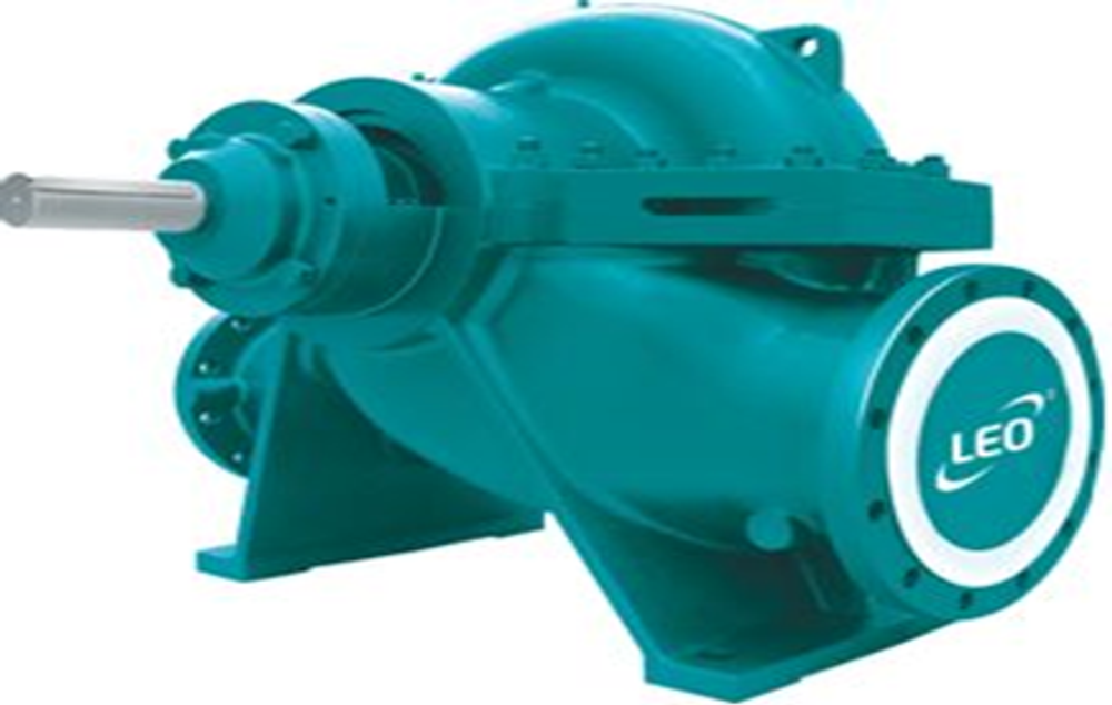 Насос LEO GS150-100-310 (CCSM)