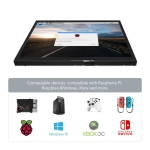 10.1" Портативный сенсорный монитор, IPS, 1024х600, 60 Гц