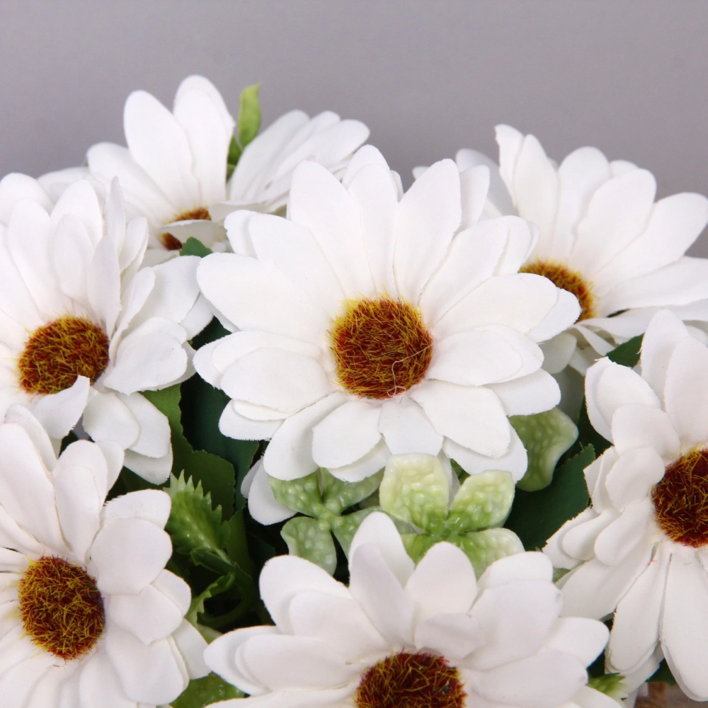 Цветочная композиция «Мечта» 10*20см Ромашки белые