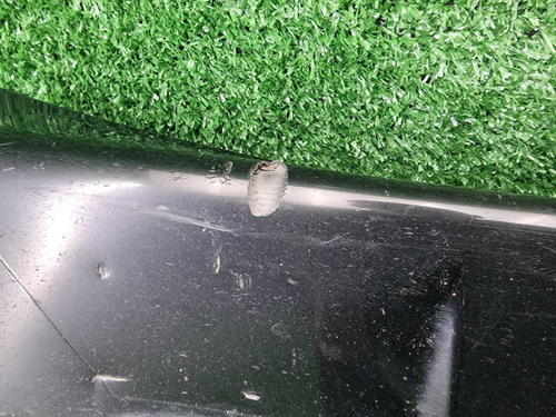 Накладка порога правая Porsche Cayenne 958 (10-18)