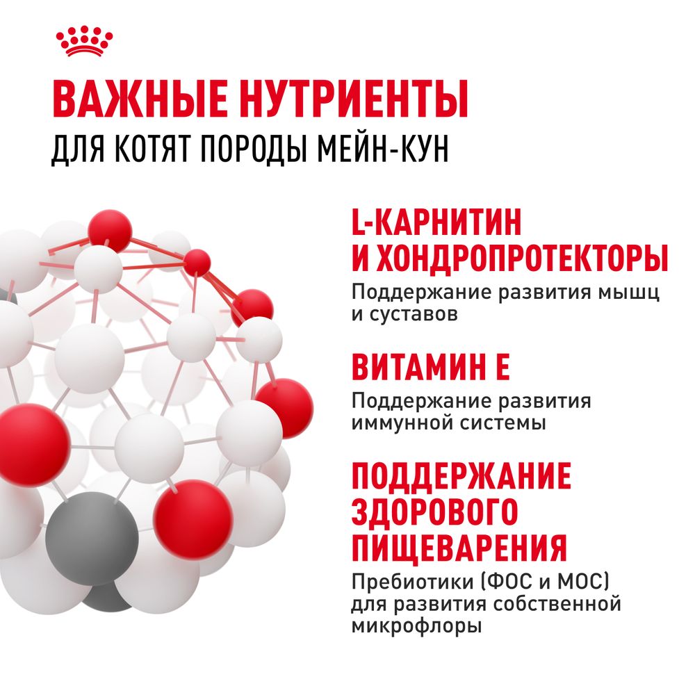 Сухой корм Royal Canin Maine Coon Kitten для котят породы Мэйн Кун