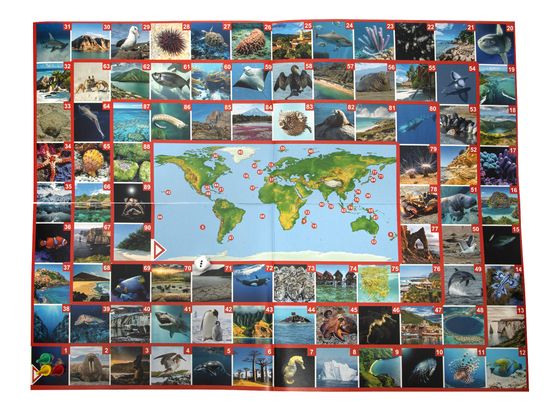 Игра настольная ходилка ФОТОвикторина "По морям и океанам"