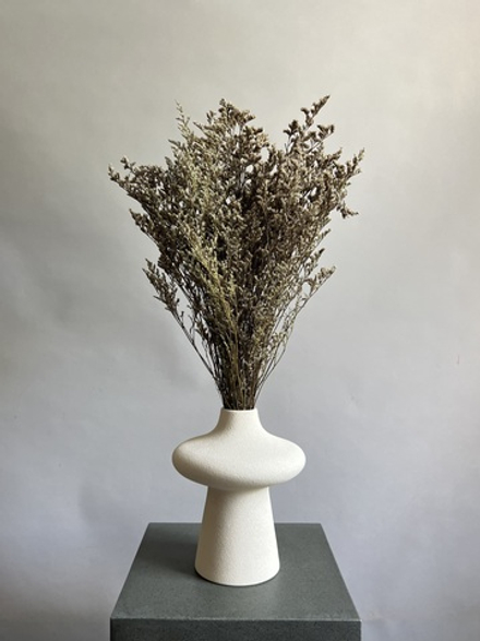 Кермек бело-коричневый