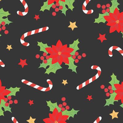 Рождественская звезда, остролист на черном фоне.