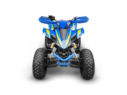 Квадроцикл YACOTA TYPHOON 250