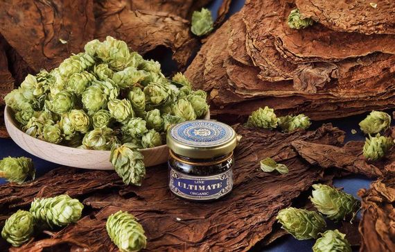 WTO Ultimate Organic - Голландский хмель (250г)