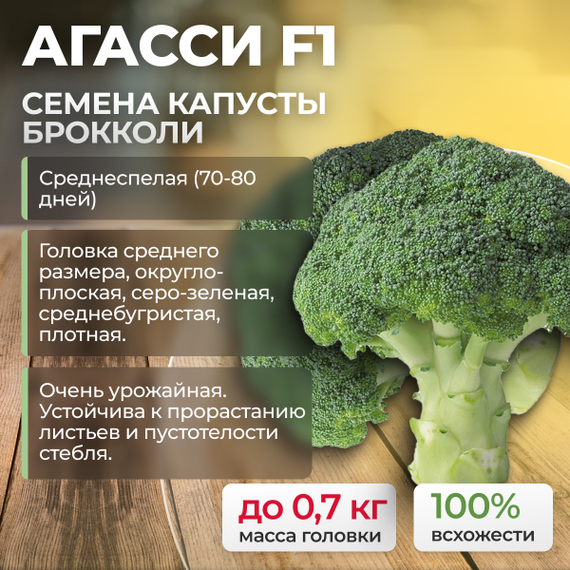 АГАССИ F1 семена капусты брокколи (Rijk Zwaan | Alexagro) продукция