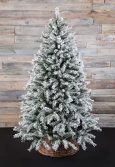 Ель Атлантида заснеженная 260 см., мягкая хвоя, Black Box (74345)