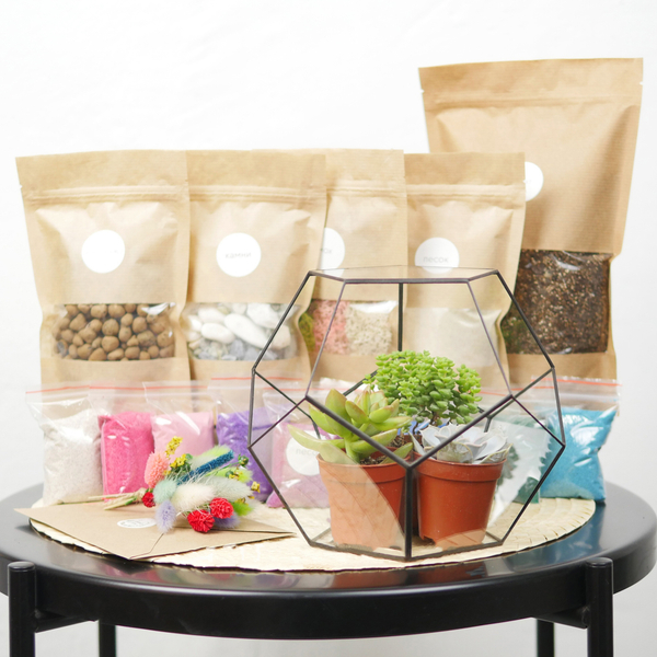 Набор для создания флорариума с суккулентами Сфера