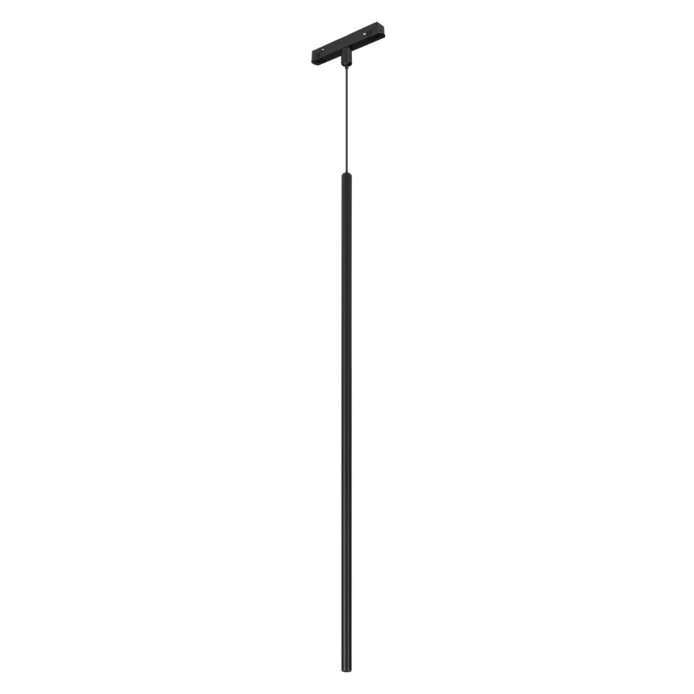 Светильник MAG-ORIENT-SPOT-HANG-L600-R12-2W Day4000 (BK, 20 deg, 48V) (Arlight, IP20 Металл, 5 лет) 044501