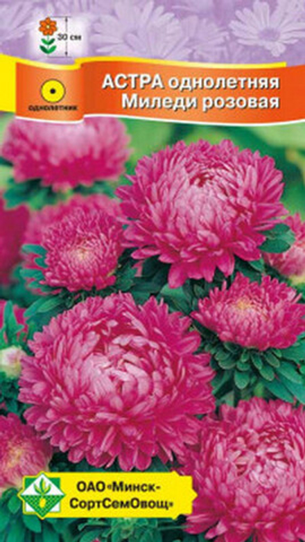 Астра "Миледи Розовая" 0,15г., Германия.