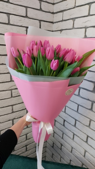 Тюльпановое восхищение